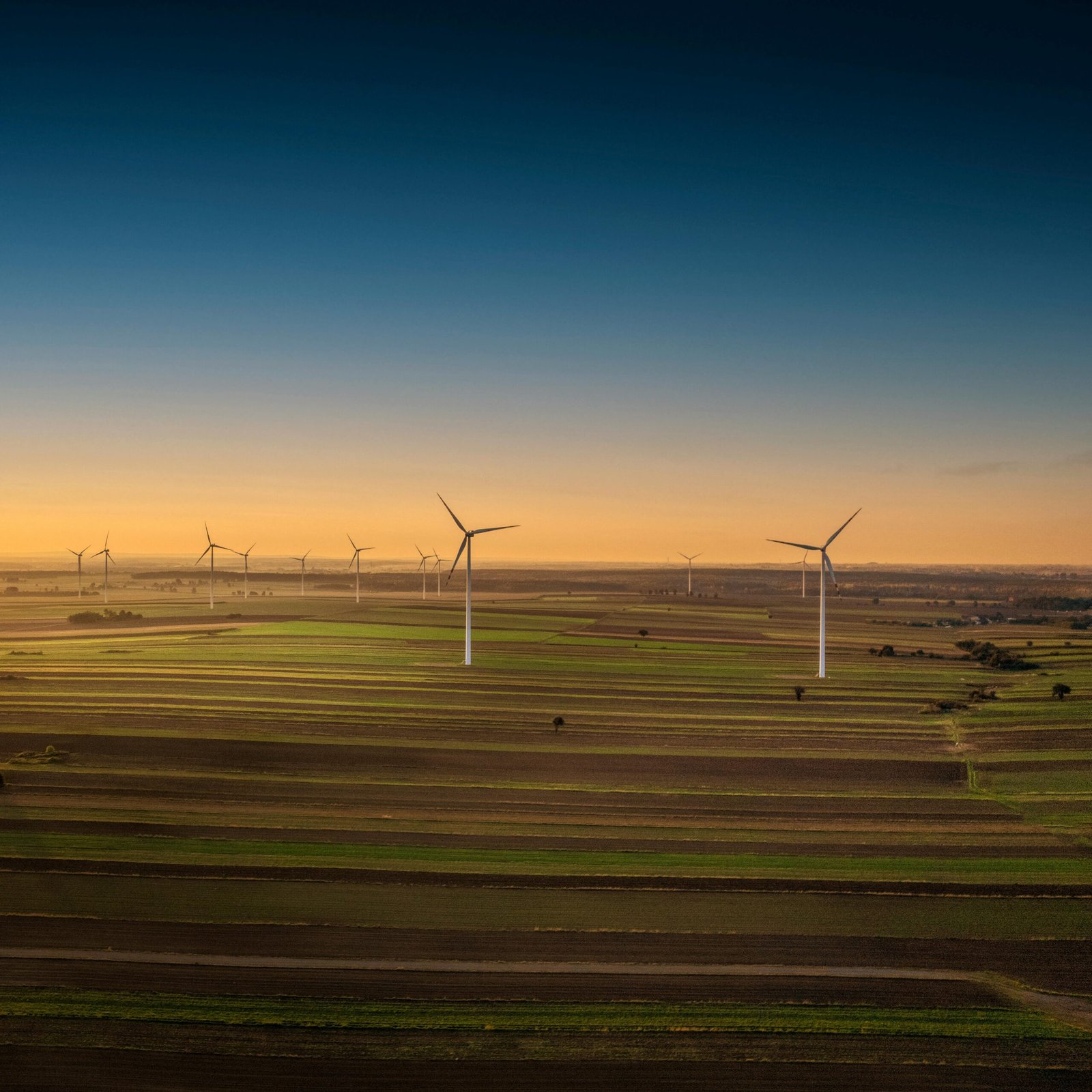 Image from Key Themes Paragraph on Environment Articles and Climate Articles Section on Sustainable Utopia